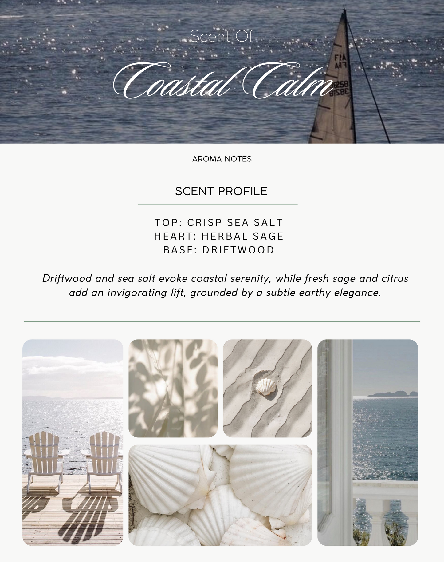 Coastal Calm Large 200ml Reed Diffuser