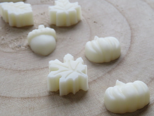 Autumn Wax Melts