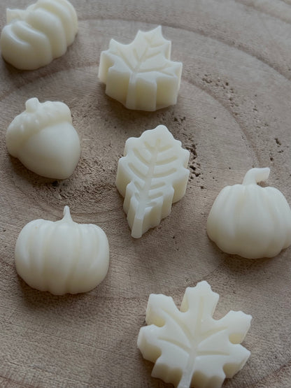 Autumn Wax Melts