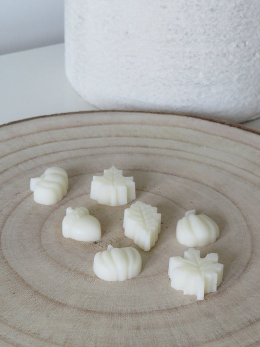 Autumn Wax Melts